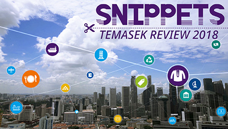 Snippets From Temasek Review 2018