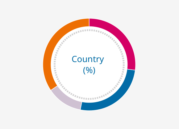 Concentration Profile - Country (%)