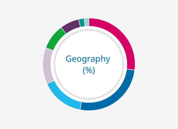 Geography (%)