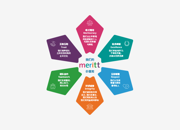 MERITT Chart