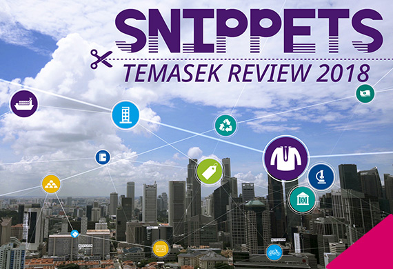 Snippets from Temasek Review 2018