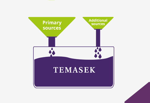 Ins & Outs of Temasek